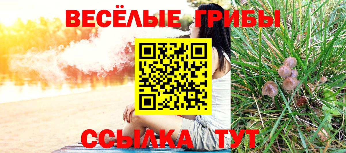 Галлюциногенные грибы прущие грибы Сосновый Бор